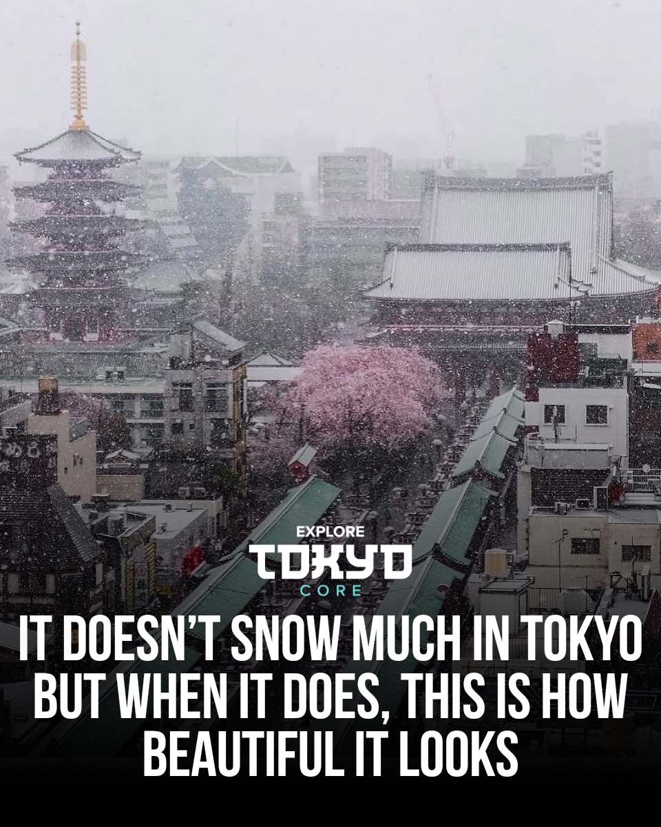 Snow in Tokyo